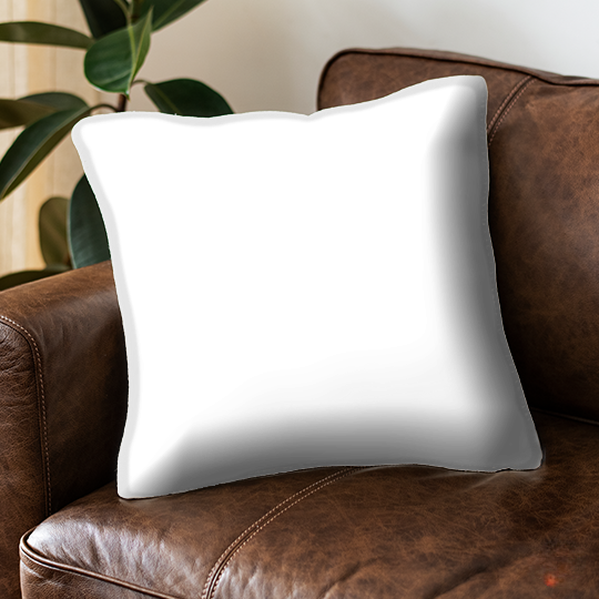 Cushion 1