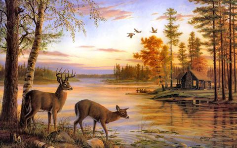 Deer waters